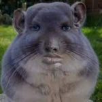 Profile picture of poopybooty