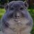 Profile picture of poopybooty