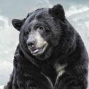 Profile picture of DarkBear