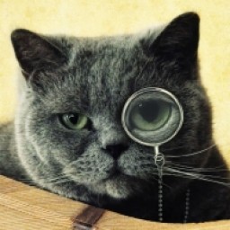 Profile picture of DIVAN