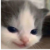 Profile picture of Godogo1518