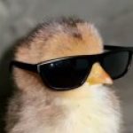 Profile picture of eidq