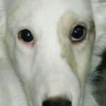 Profile picture of DetailedFool